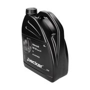 Motorenöl 5W-30 Multi DPF (5 L) MINI MINI