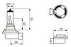 Produktbild für Glühlampe, Fernscheinwerfer
