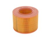 Luftfilter RENAULT 19