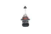 Glühlampe, Nebelscheinwerfer HONDA