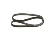 Keilrippenriemen NISSAN PULSAR