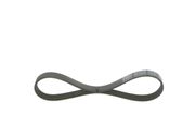 Keilrippenriemen NISSAN MICRA