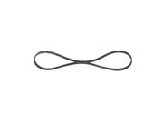 Keilrippenriemen NISSAN ALMERA