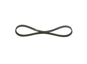 Keilrippenriemen DACIA