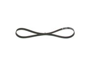 Keilrippenriemen MITSUBISHI GALANT