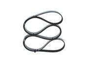 Keilrippenriemen HONDA FR-V