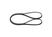 Keilrippenriemen SKODA SUPERB