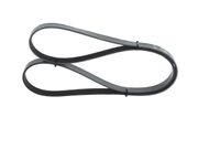 Keilrippenriemen CITROËN EVASION