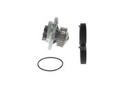 Wasserpumpe + Zahnriemensatz AUDI