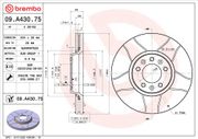 Bremsscheibe PEUGEOT EXPERT Tepee