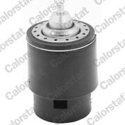 Thermostat, Kühlmittel VW TIGUAN