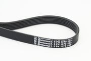 Keilrippenriemen VW LUPO