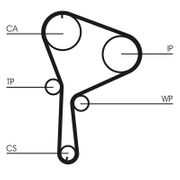 Wasserpumpe + Zahnriemensatz NISSAN PRIMERA