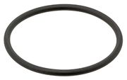 Dichtring, Thermostat VW AMAROK