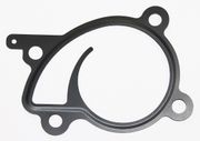 Dichtung, Wasserpumpe NISSAN MICRA C+C