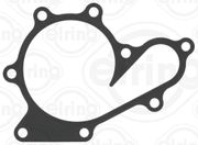 Dichtung, Wasserpumpe NISSAN MURANO