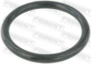 Dichtung, Drosselklappenstutzen NISSAN PRIMASTAR