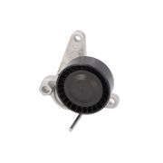 Riemenspanner, Keilrippenriemen VW PASSAT ALLTRACK