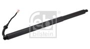 Gasfeder, Koffer-/Laderaum SEAT ATECA