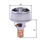 Thermostat, Kühlmittel RENAULT RAPID