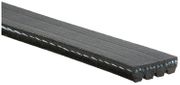 Keilrippenriemen Micro-V® MITSUBISHI L 300