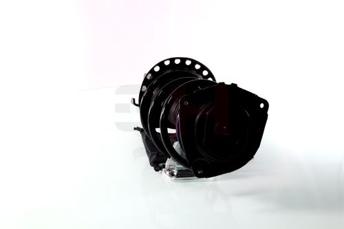 Produktbild für Federbein