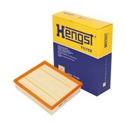 Luftfilter RENAULT SAFRANE