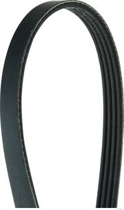 Keilrippenriemen SUZUKI CELERIO