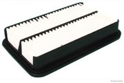 Luftfilter DAIHATSU TERIOS