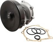 Wasserpumpe JP GROUP RENAULT SAFRANE
