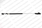 Gasfeder, Koffer-/Laderaum NISSAN SUNNY