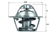 Thermostat, Kühlmittel FORD PUMA