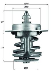 Thermostat, Kühlmittel DAIHATSU TERIOS