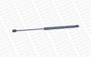 Gasfeder, Koffer-/Laderaum SEAT EXEO