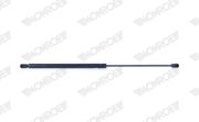 Gasfeder, Koffer-/Laderaum FORD FOCUS C-MAX