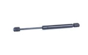 Gasfeder, Koffer-/Laderaum AUDI TT