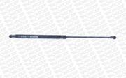 Gasfeder, Koffer-/Laderaum NISSAN QASHQAI / QASHQAI +2