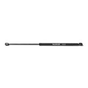 Gasfeder, Koffer-/Laderaum FORD B-MAX