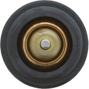 Thermostat, Kühlmittel VW TIGUAN