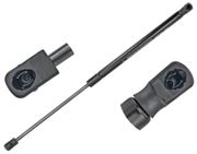 Gasfeder, Koffer-/Laderaum AUDI Q5