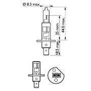 Glühlampe, Nebelscheinwerfer CITROËN SAXO