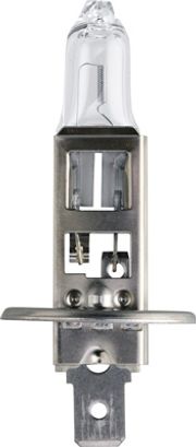 Glühlampe, Nebelscheinwerfer CITROËN SAXO