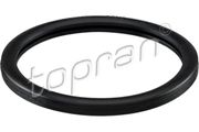 Dichtung, Thermostat NISSAN PATHFINDER