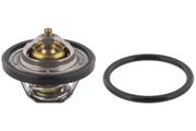 Thermostat, Kühlmittel FORD PUMA