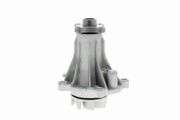 Wasserpumpe Original VAICO Qualität FORD SIERRA