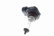 Glühlampe, Fernscheinwerfer Original VEMO Qualität TOYOTA LAND CRUISER PRADO