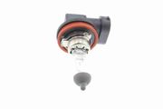Glühlampe, Fernscheinwerfer Original VEMO Qualität VW PASSAT