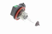 Glühlampe, Nebelscheinwerfer Original VEMO Qualität DACIA